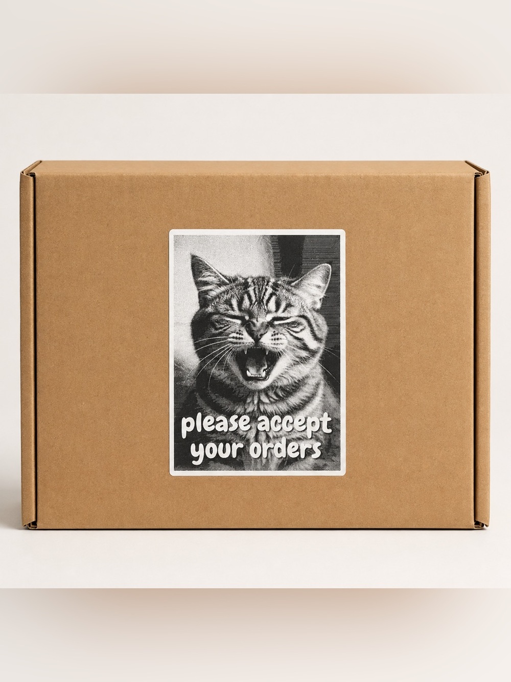 Silly Kitty Please Accept Your Orders Stickers-100ct.